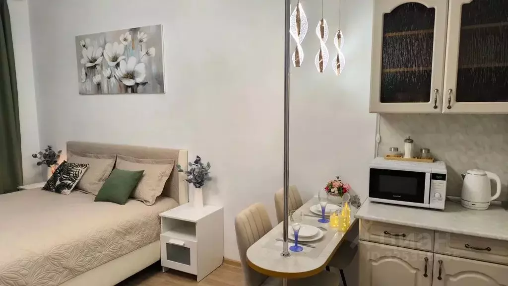 Студия Санкт-Петербург ул. Адмирала Черокова, 20 (24.0 м) - Фото 1