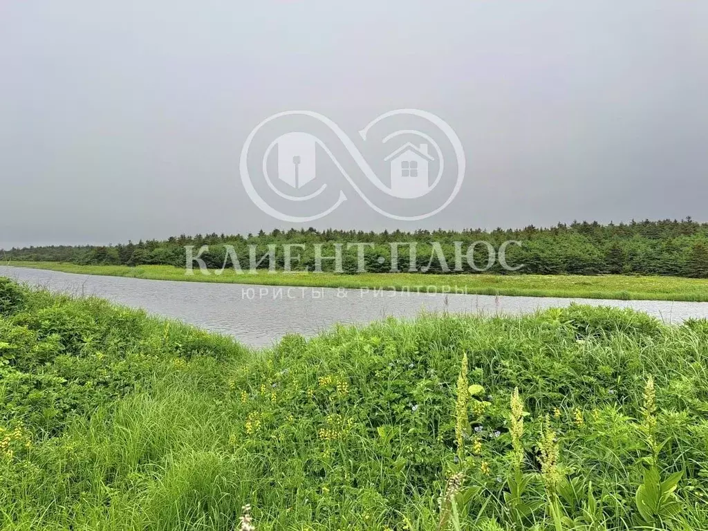 Участок в Сахалинская область, Корсаковский городской округ, с. ... - Фото 1