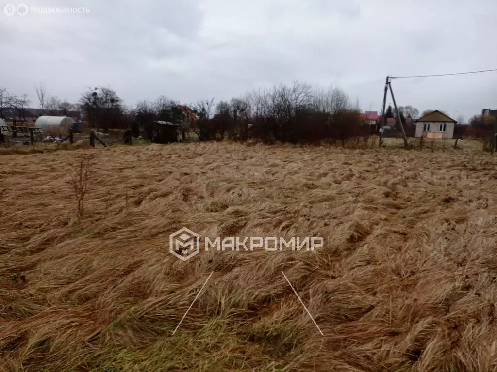 Участок в Калининградская область, Багратионовский муниципальный ... - Фото 1