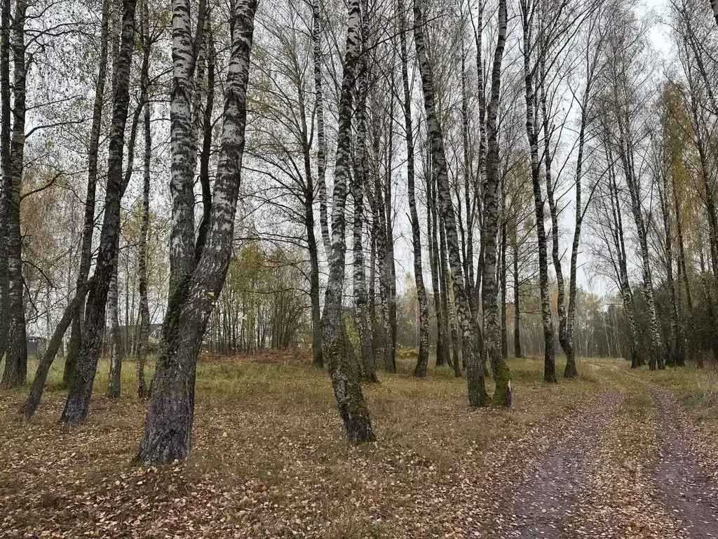 Участок в Брянская область, Брянский район, Новодарковичское с/пос, д. ... - Фото 1