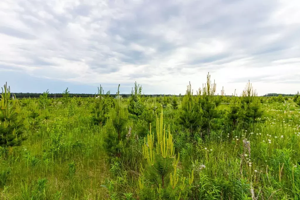 Участок в Свердловская область, Тугулым пгт  (6.26 сот.) - Фото 2