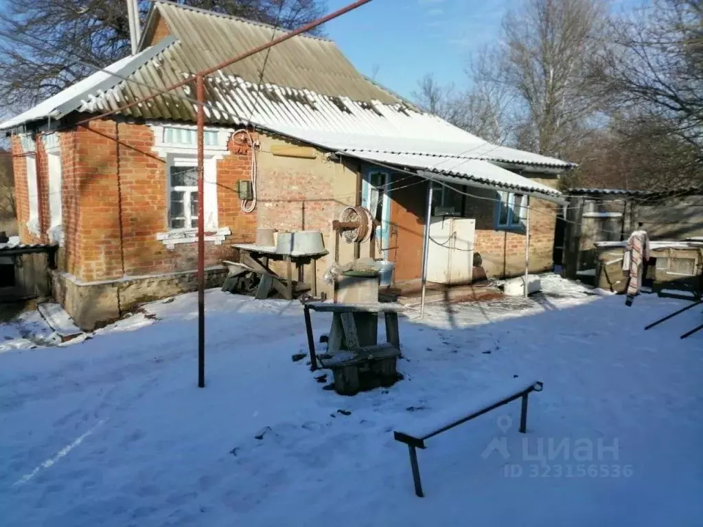 Дом в Белгородская область, Ровеньский район, с. Новоалександровка ул. ... - Фото 1