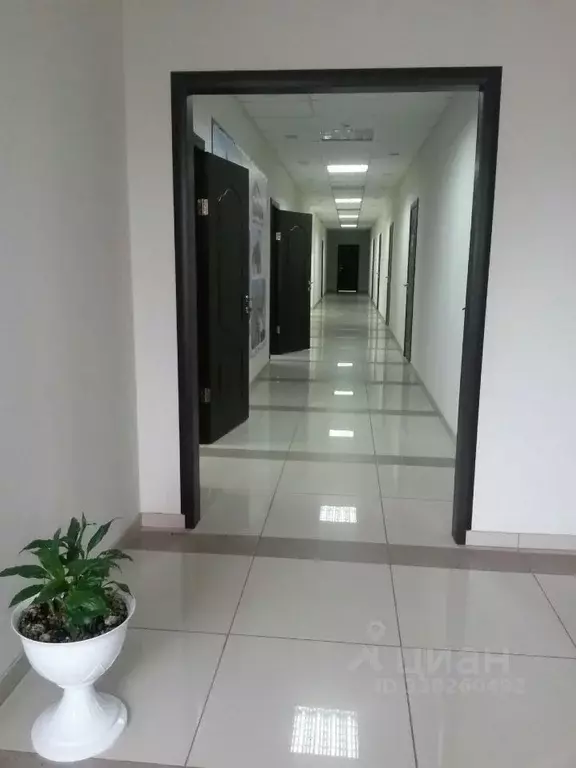 Помещение свободного назначения в Саратовская область, Саратов ул. ... - Фото 2