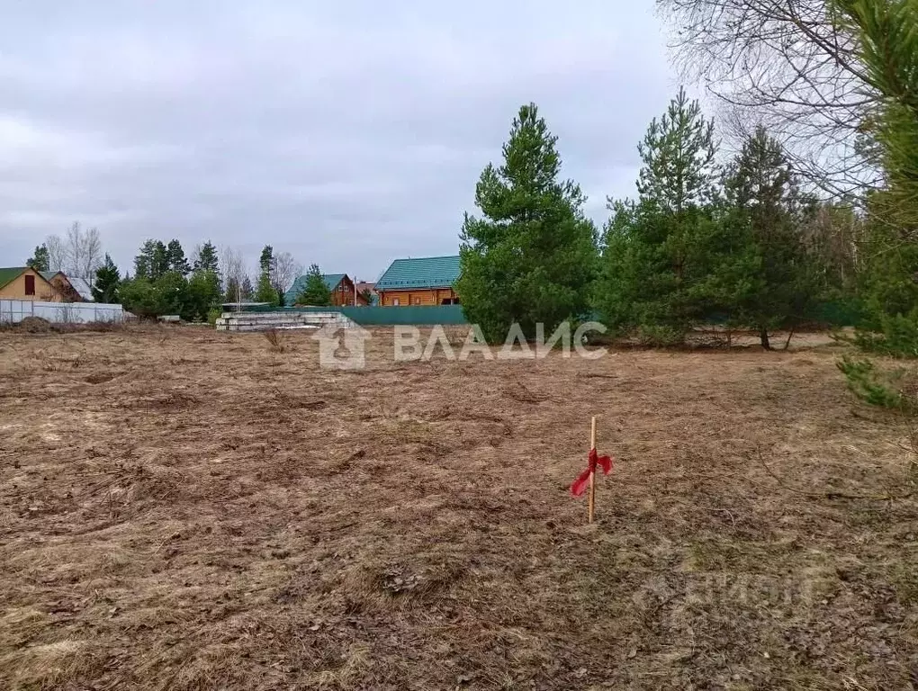 Участок в Владимирская область, Судогодский район, Лавровское ... - Фото 1