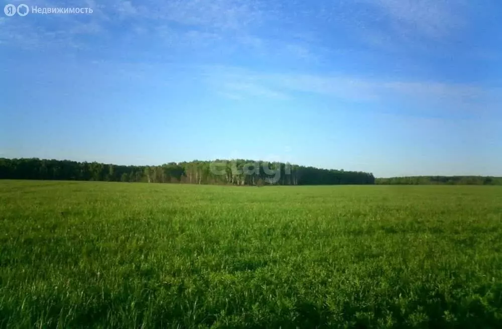 Участок в село Частая Дубрава, улица 1-я сотня (23.1 м) - Фото 0