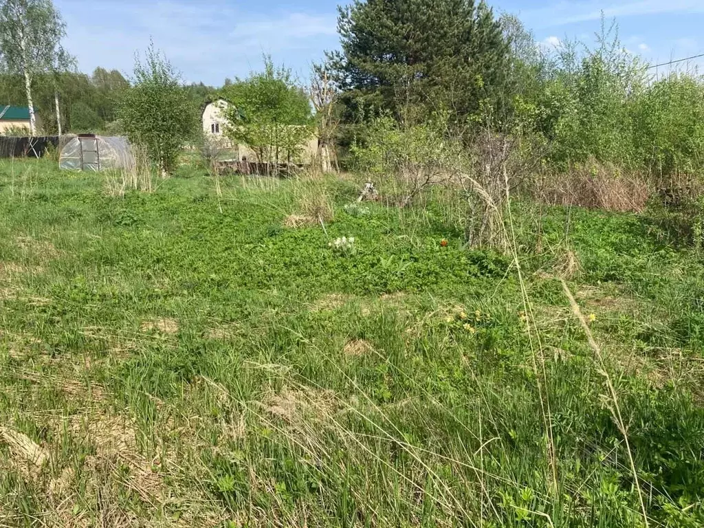 Участок в Ярославская область, Рыбинский муниципальный округ, ... - Фото 1