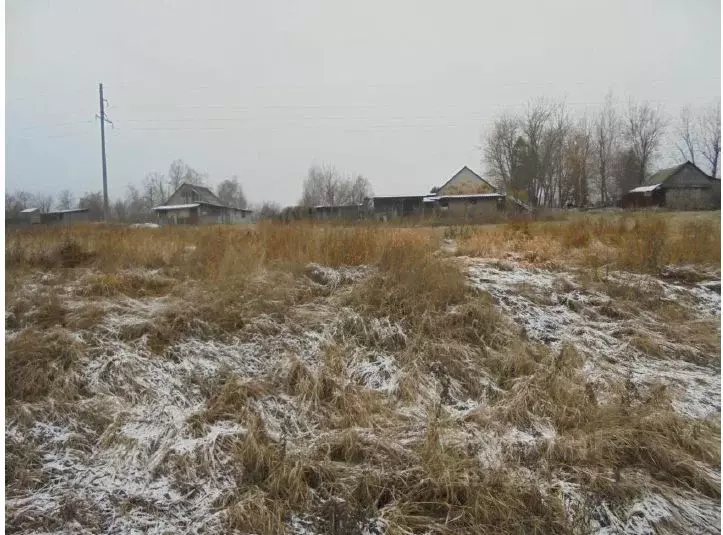 Участок в Московская область, Дмитровский муниципальный округ, пос. ... - Фото 0