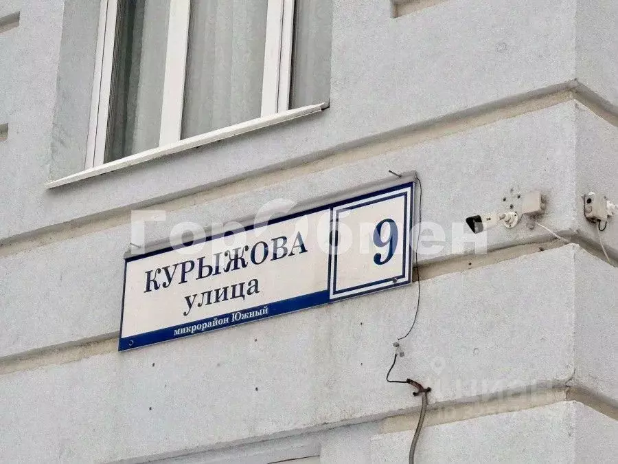 1-к кв. Московская область, Домодедово Южный мкр, ул. Курыжова, 9 ... - Фото 2