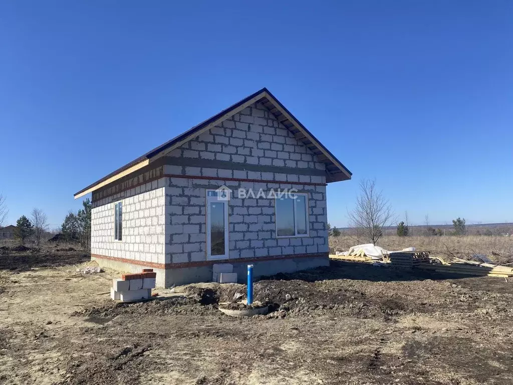 Дом в Пензенская область, с. Бессоновка  (70 м) - Фото 0