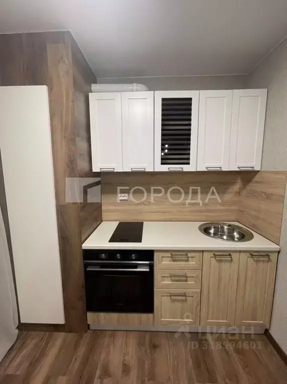 Студия Новосибирская область, Новосибирский район, с. Толмачево, ... - Фото 1