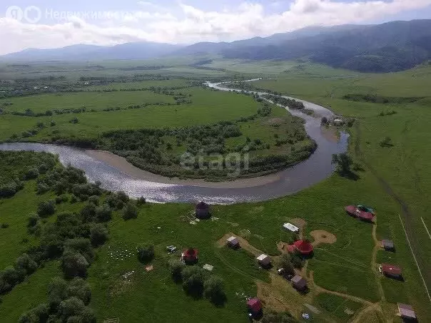 Участок в Волчихинский район, Солоновский сельсовет, село Солоновка ... - Фото 1