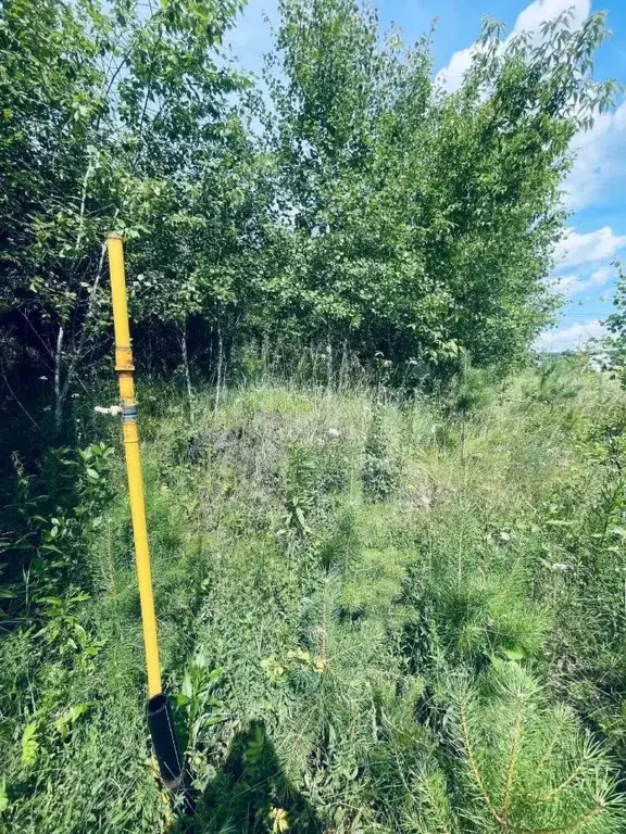 Участок в Свердловская область, Талица ул. Малиновая (1104.0 сот.) - Фото 1