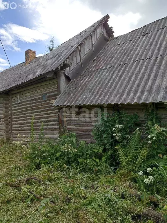 Дом в деревня Дуброво, улица Ветеранов (23.5 м) - Фото 0