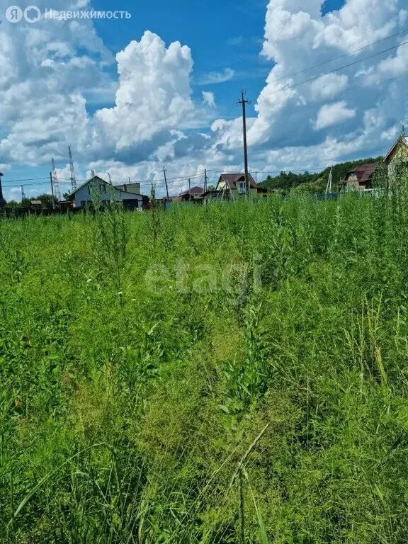 Участок в Амурская область, Благовещенский муниципальный округ, село ... - Фото 1