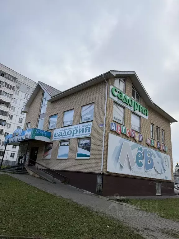 Торговая площадь в Нижегородская область, Выкса Центральный мкр, 15 ... - Фото 2