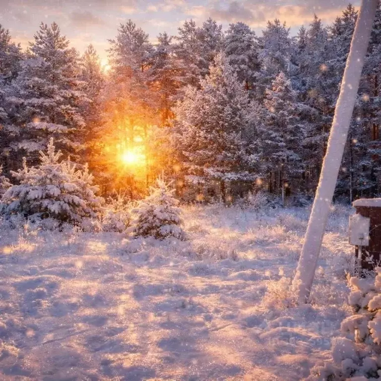 Участок в Ярославская область, Некрасовский муниципальный округ, ... - Фото 1