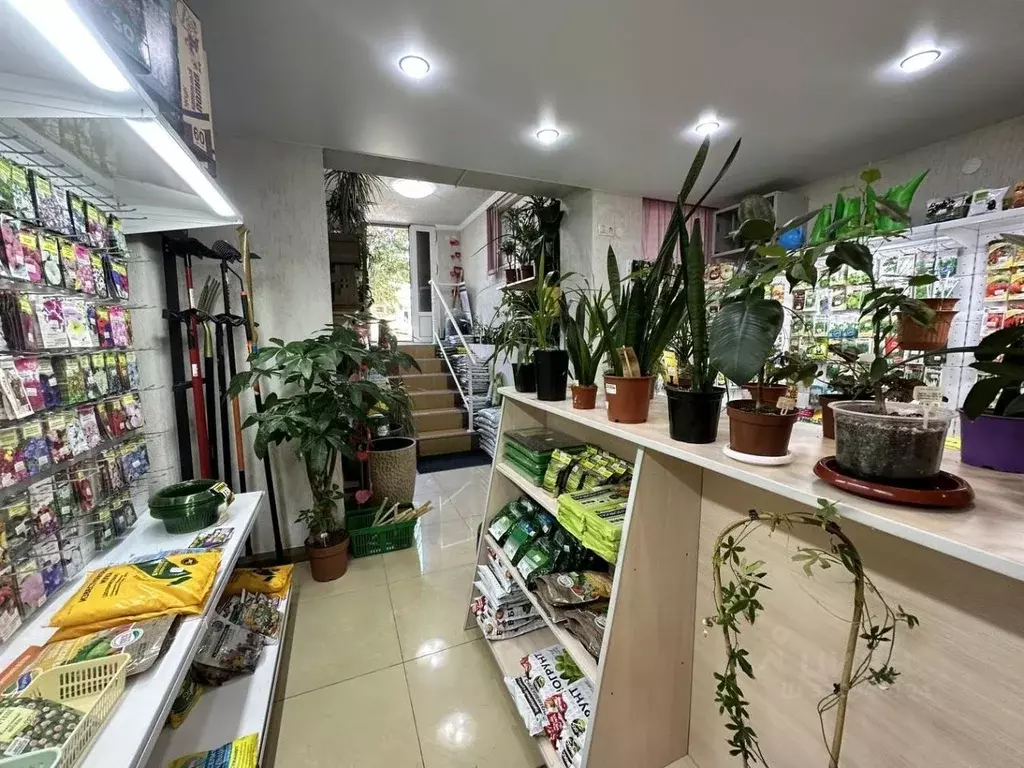 Помещение свободного назначения в Краснодарский край, Анапа ул. ... - Фото 1