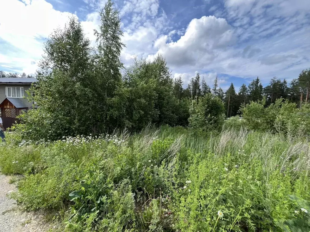 Участок в Свердловская область, Кировград  (14.0 сот.) - Фото 1