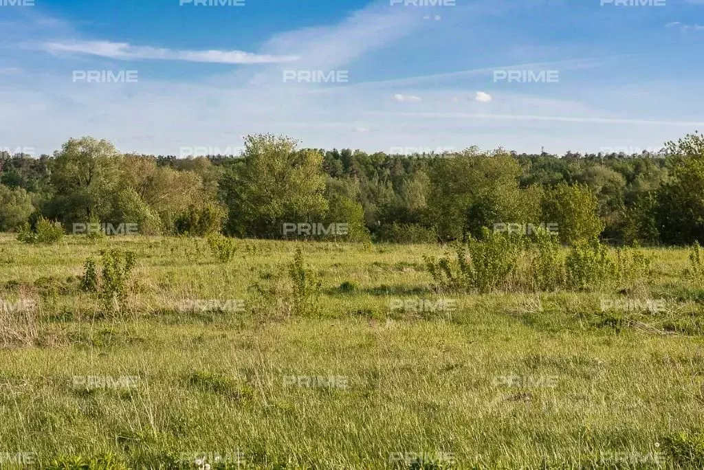 Участок в Московская область, Истра городской округ, д. Чесноково, ... - Фото 0