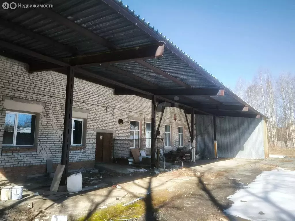Помещение свободного назначения (564.9 м) - Фото 1