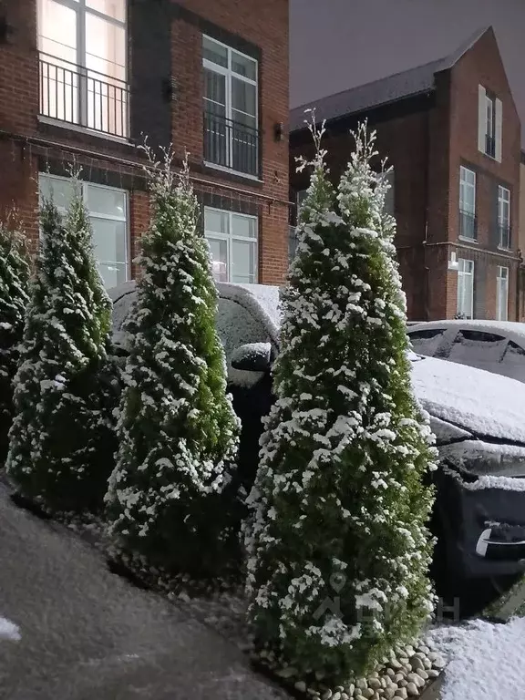 Таунхаус в Московская область, Апрелевка Наро-Фоминский городской ... - Фото 2