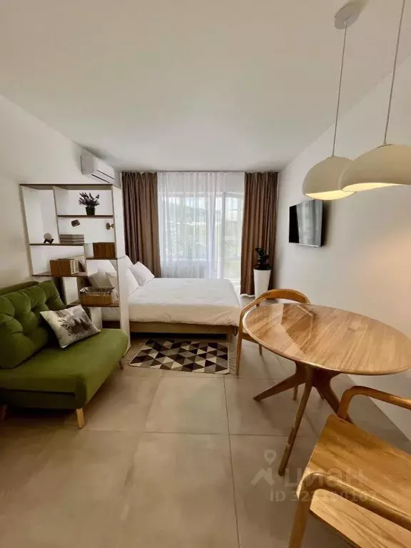 1-к кв. Алтайский край, Белокуриха ул. Соболева, 22 (26.0 м) - Фото 2