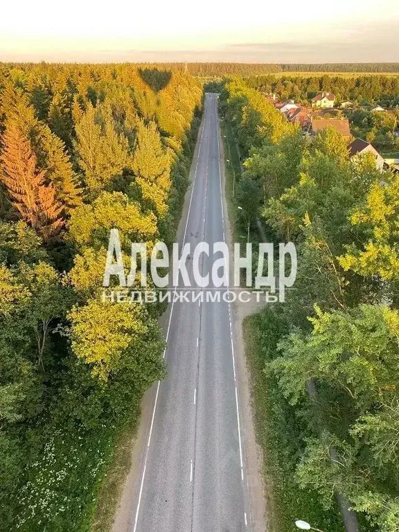 Участок в Ленинградская область, Волосовский район, Клопицкое с/пос, ... - Фото 1
