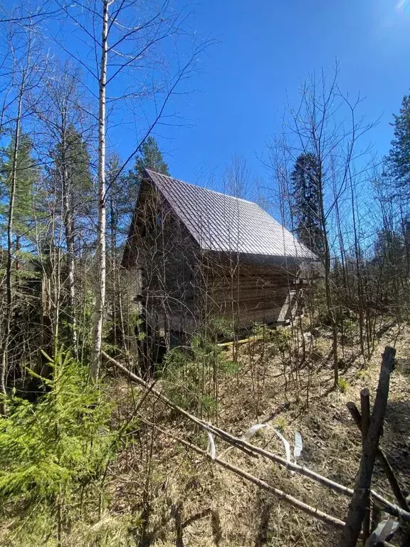 Дом в Карелия, Кондопога Летняя ул. (42 м) - Фото 2