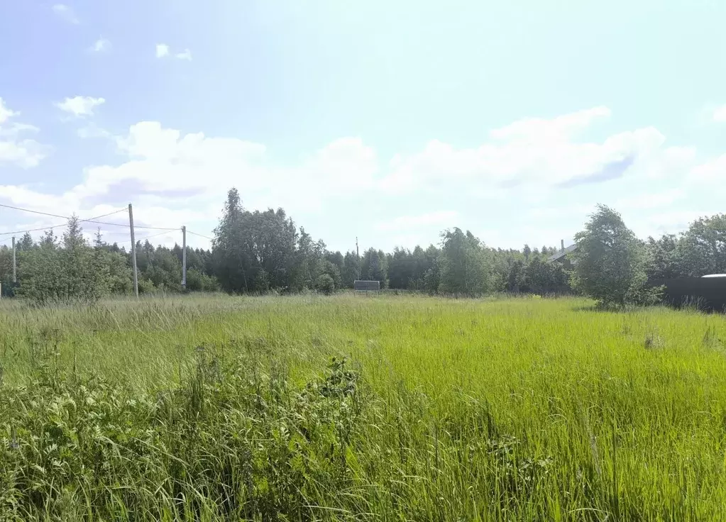 Участок в Московская область, Ступино городской округ, с. ... - Фото 1