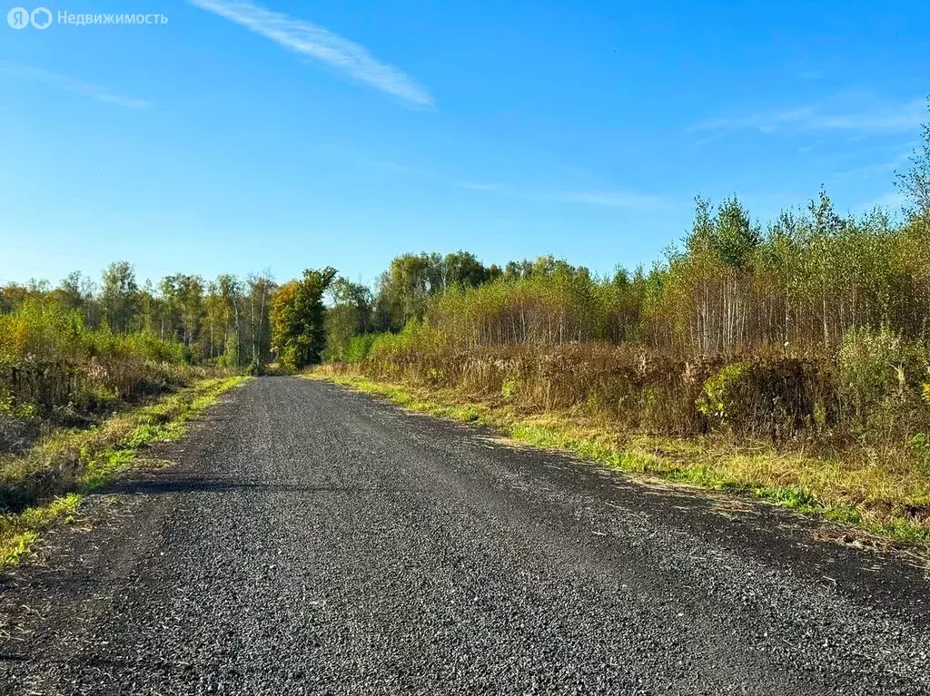 Участок в Московская область, Раменский муниципальный округ, КП ... - Фото 1