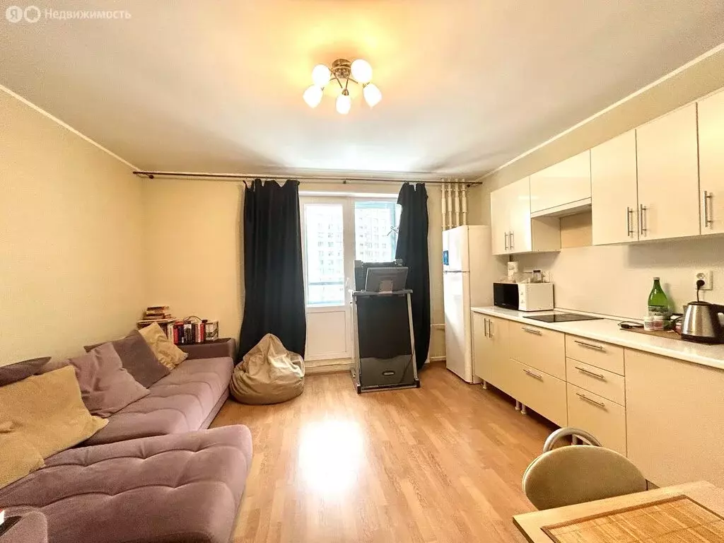 Квартира-студия: Мурино, проспект Авиаторов Балтики, 9к3 (25.3 м) - Фото 2