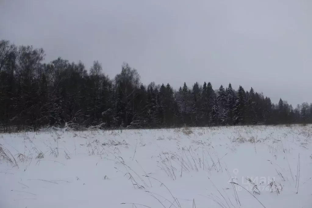 Участок в Московская область, Шаховская муниципальный округ, с. Белая ... - Фото 1