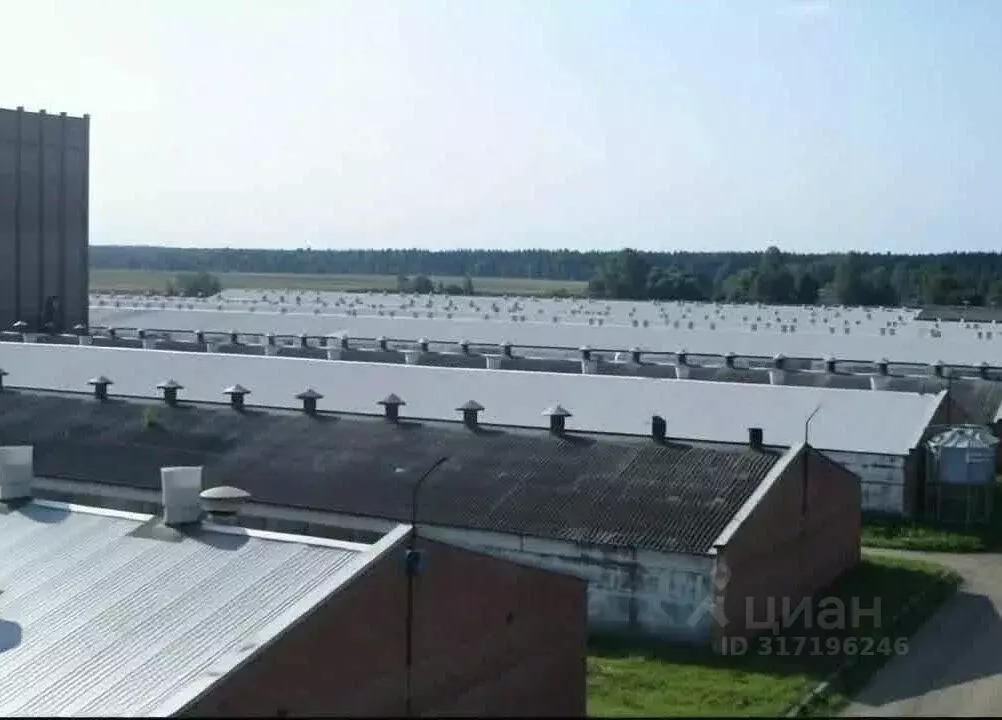 Склад в Москва д. Кузнецово,  (16000 м) - Фото 0