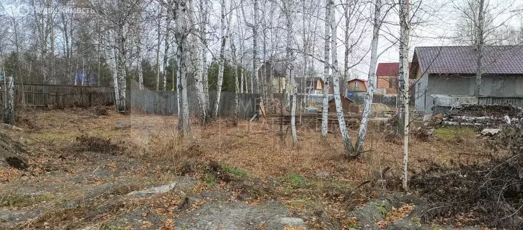 Участок в Тюмень, СНТ Надежда-2 (10 м) - Фото 2