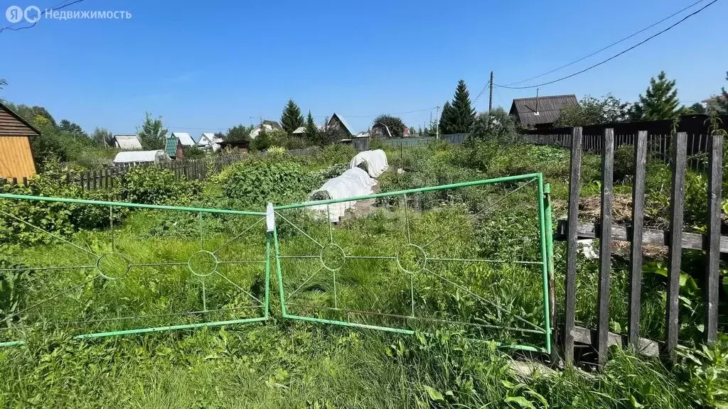 Участок в Искитимский район, Мичуринский сельсовет, садовое ... - Фото 0