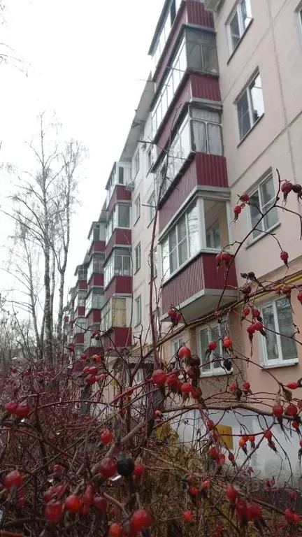 1-к кв. Мордовия, Саранск ул. Косарева, 82 (30.6 м) - Фото 1