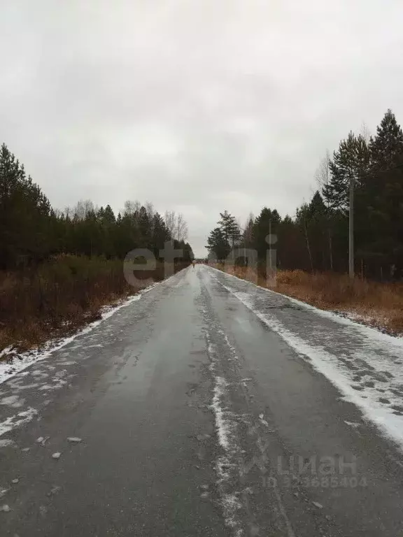 Участок в Свердловская область, Талица ул. Луначарского (12.06 сот.) - Фото 1