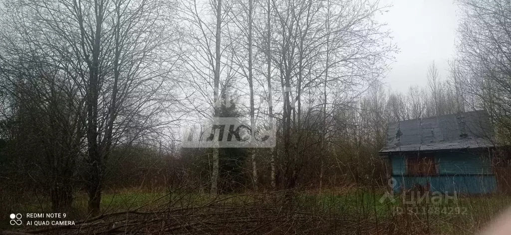 Участок в Вологодская область, Костино-1 садоводческое товарищество  ... - Фото 0