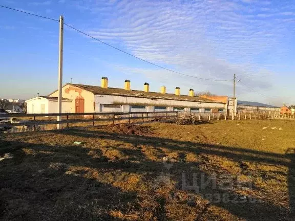 Помещение свободного назначения в Калужская область, с. Совхоз ... - Фото 1