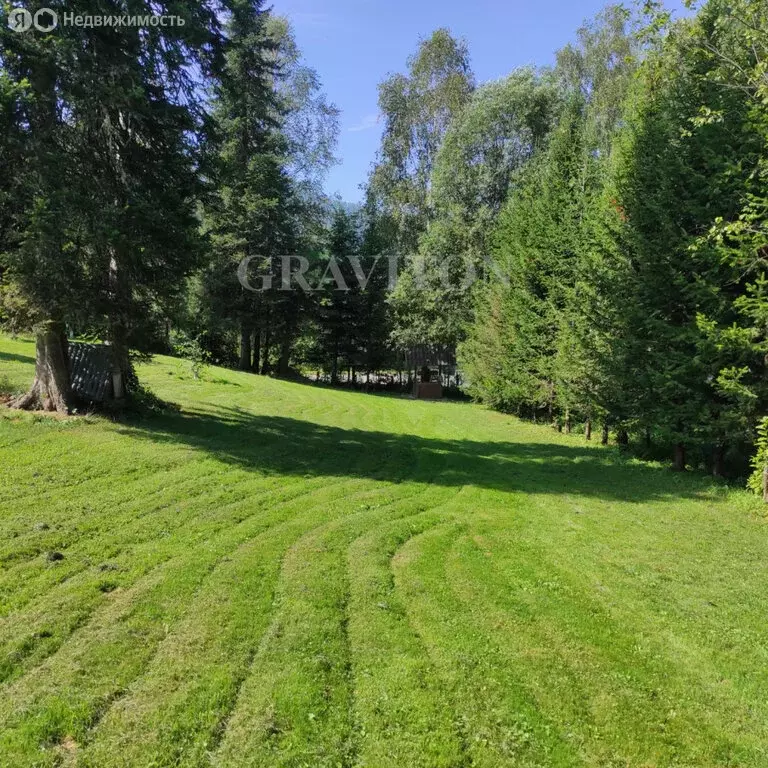 Участок в Артыбаш, Телецкая улица (55 м) - Фото 1