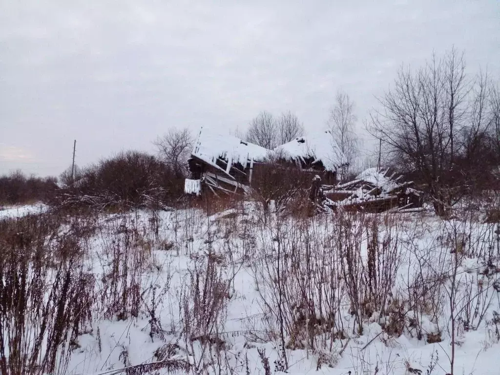 Участок в Нижегородская область, Воскресенский муниципальный округ, д. ... - Фото 1