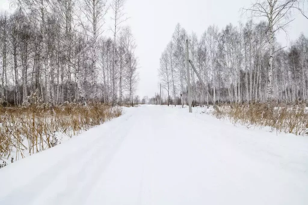 Участок в Тюменский муниципальный округ, КП Милан (6 м) - Фото 2