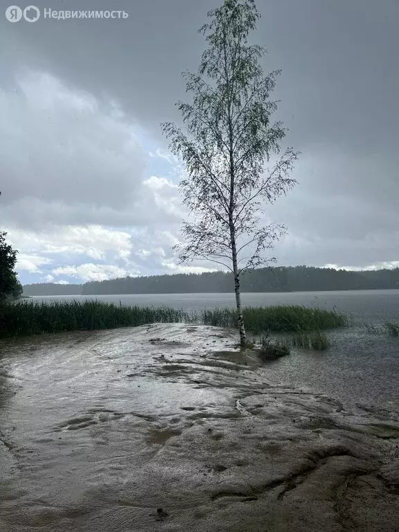 Дом в Куйвозовское сельское поселение, садоводческий массив Васкелово, ... - Фото 0