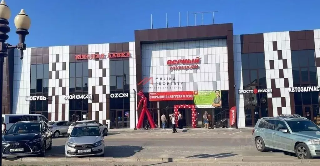 Торговая площадь в Московская область, Ступино городской округ, ... - Фото 2