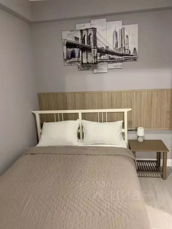 Студия Санкт-Петербург ул. Рубинштейна, 25 (35.0 м) - Фото 2