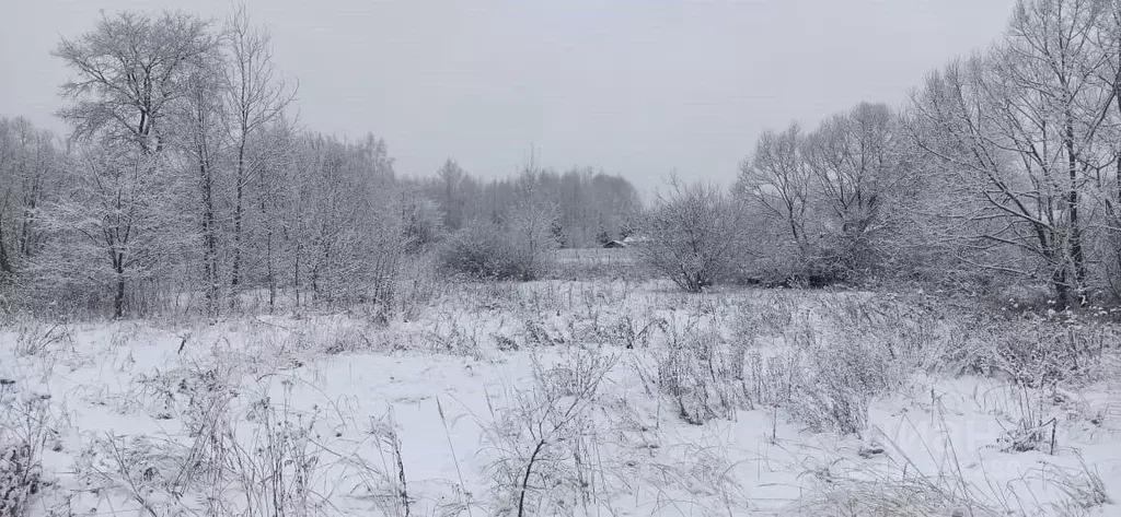 Участок в Московская область, Шатура муниципальный округ, с. Митинская ... - Фото 1