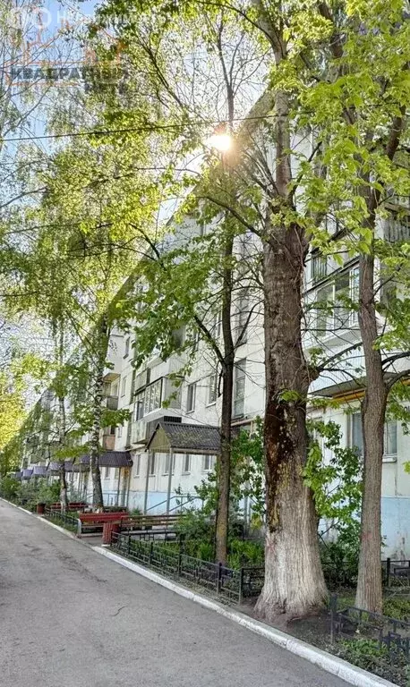 3-комнатная квартира: Димитровград, Октябрьская улица, 72 (51.68 м) - Фото 0