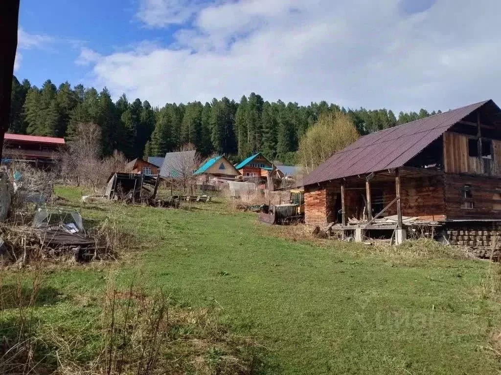 Участок в Алтай, Турочакский район, с. Артыбаш Телецкая ул., 61 (14.38 ... - Фото 1