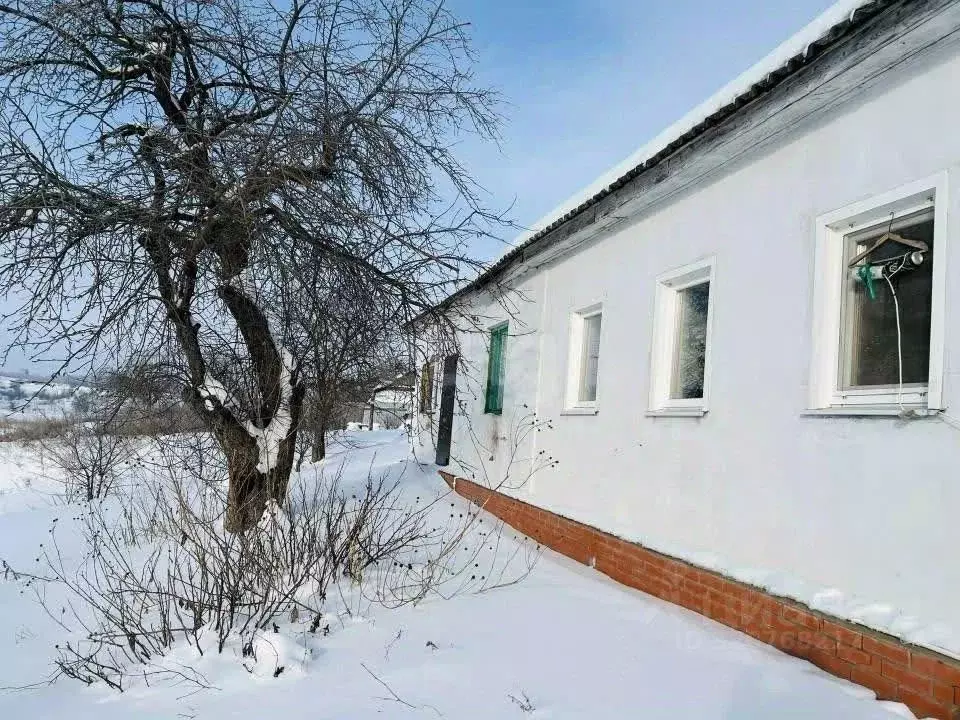 Дом в Тульская область, Богородицкий район, Иевлевское с/пос, с. ... - Фото 1