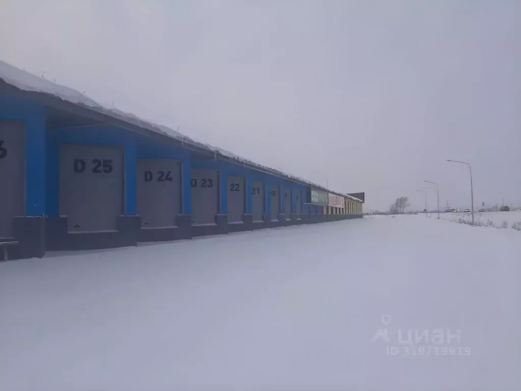 Склад в Новосибирская область, Новосибирский район, с. Толмачево ул. ... - Фото 1